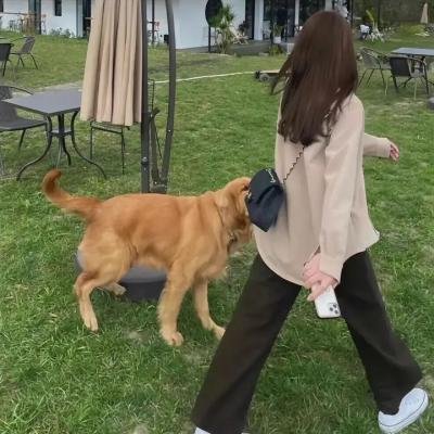 黉宫双燕